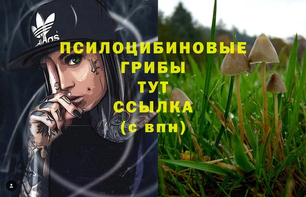 марки lsd Алексеевка