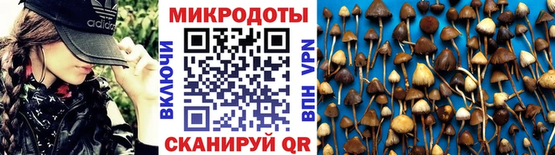 Галлюциногенные грибы Psilocybine cubensis  Покачи 