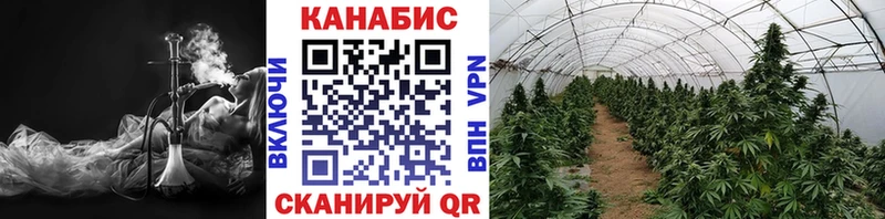 Канабис семена  Покачи 